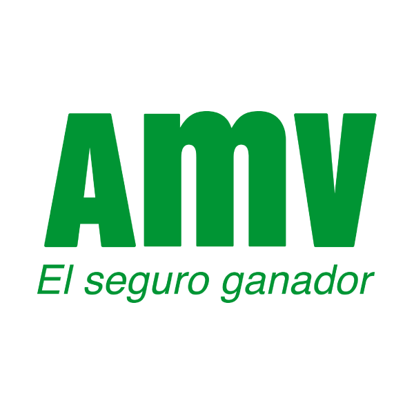 AMV Seguros